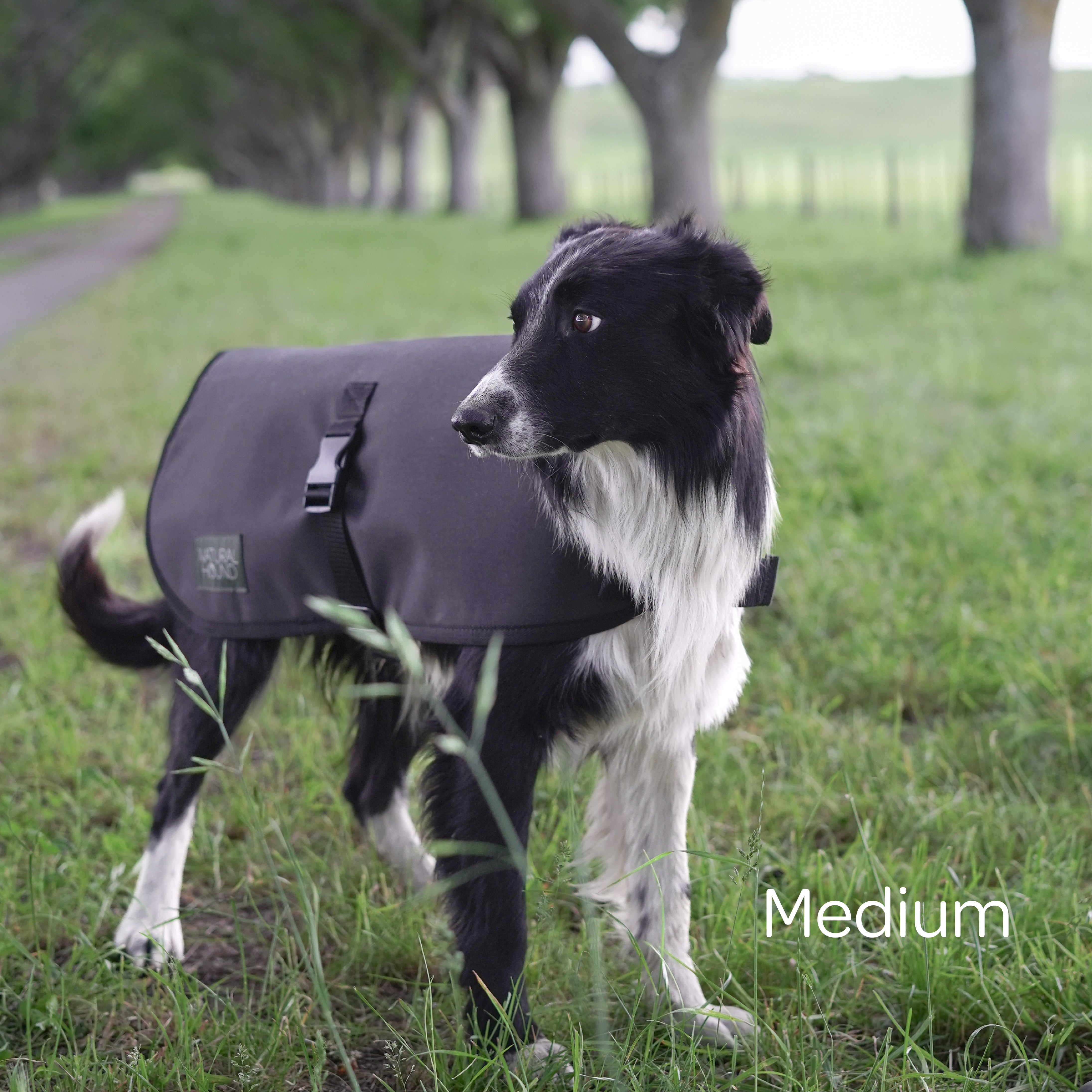 Woollen Dog Jacket