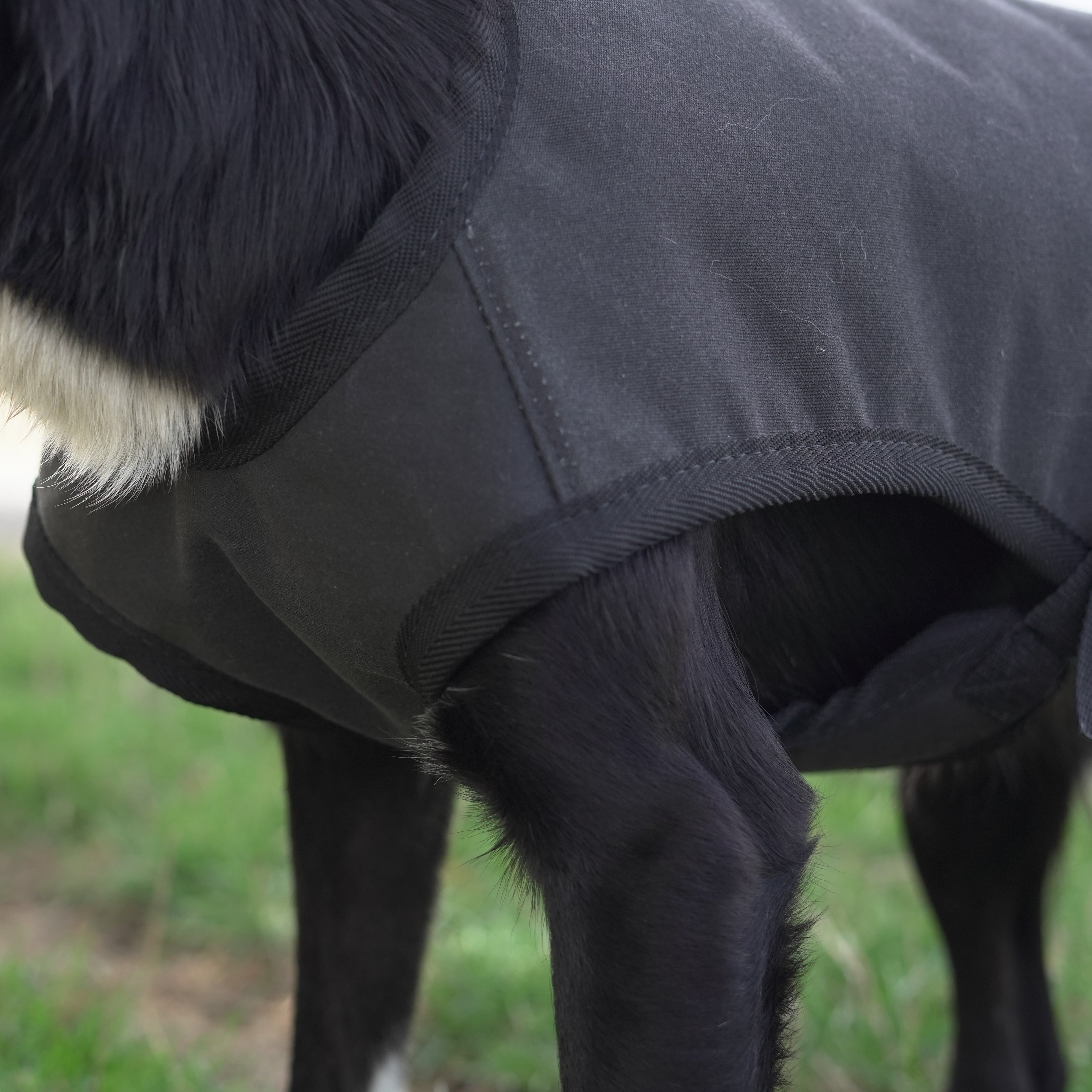 Woollen Venture Dog Jacket