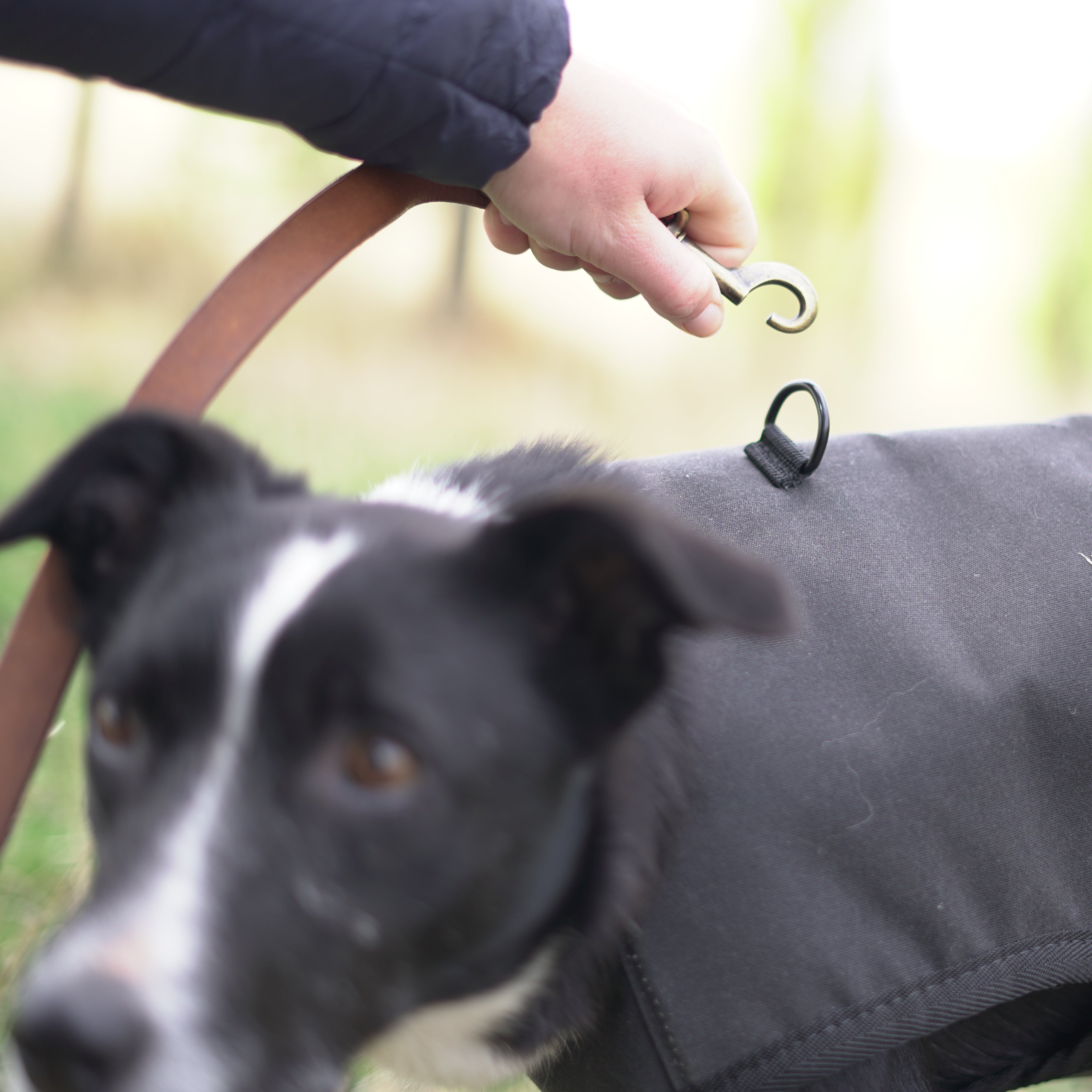 Woollen Venture Dog Jacket