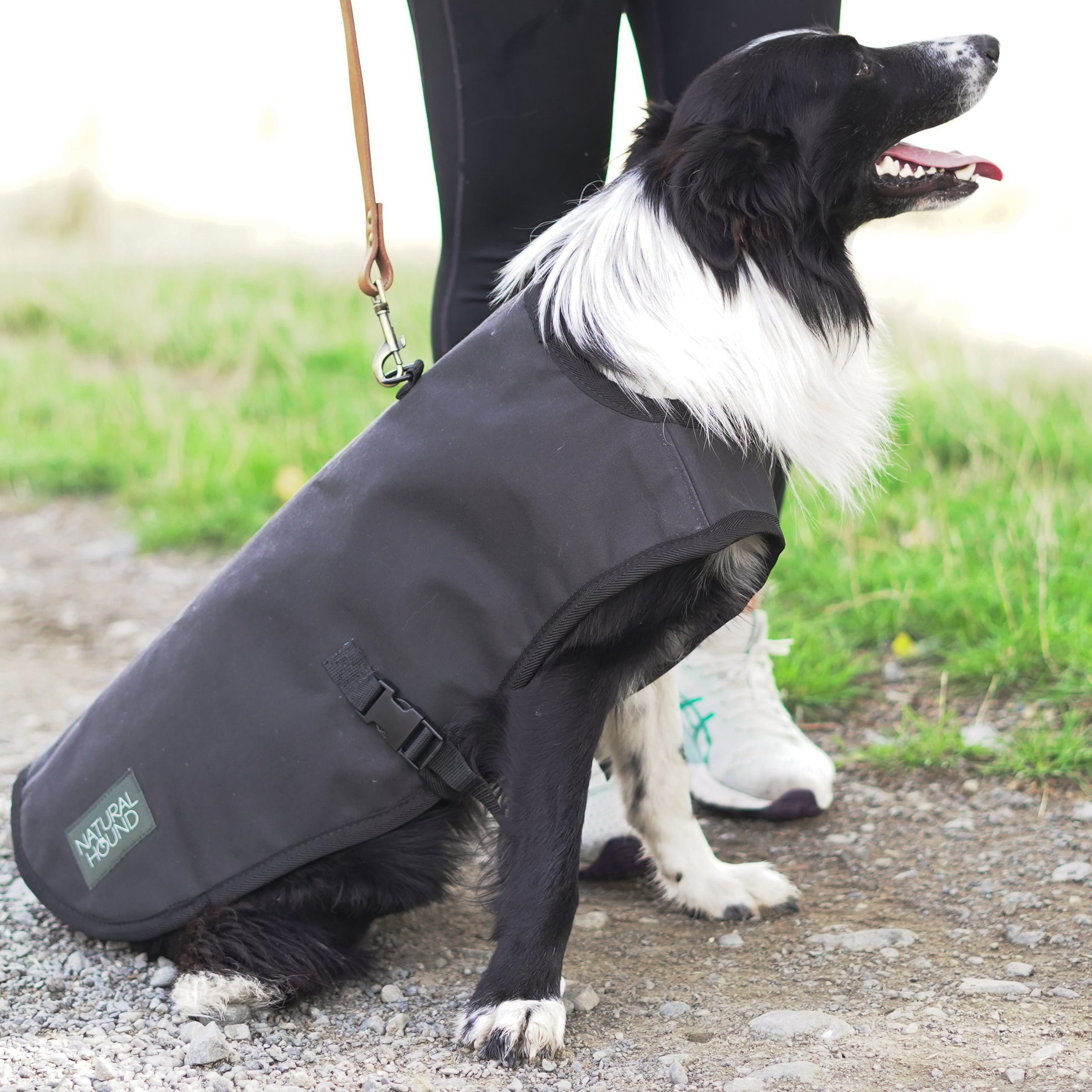 Woollen Venture Dog Jacket