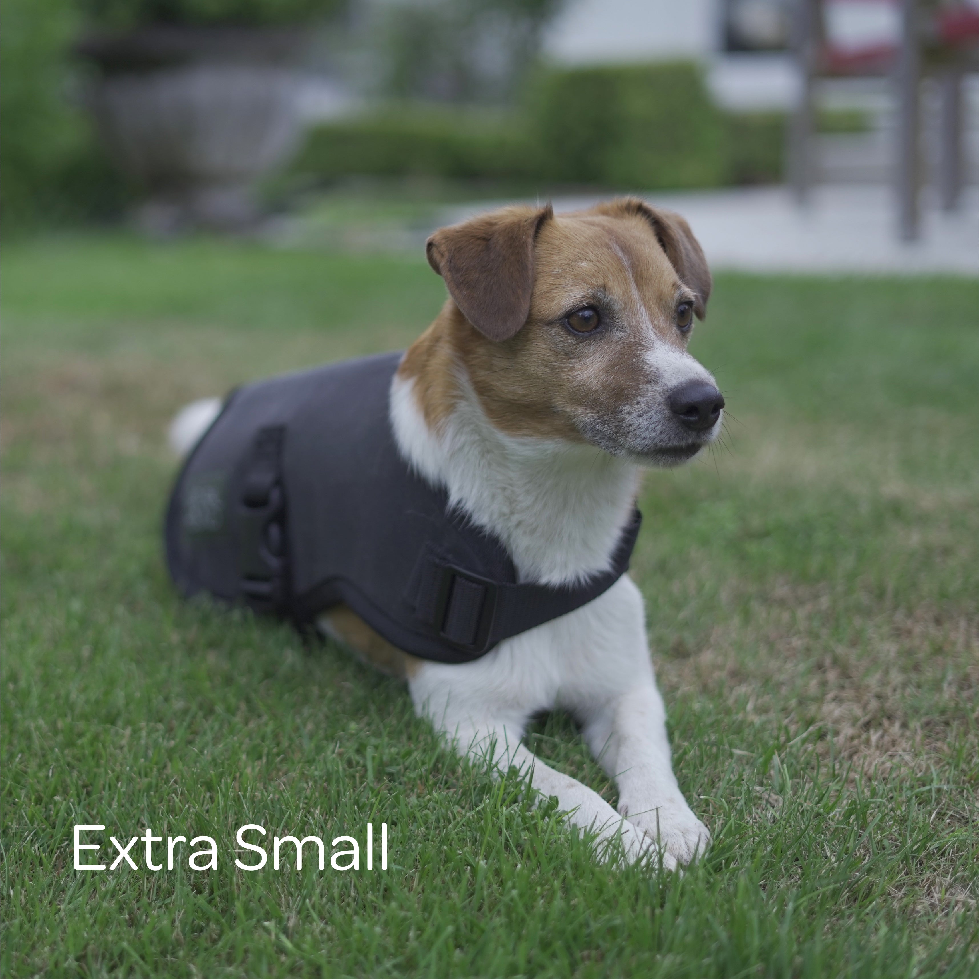 Woollen Dog Jacket