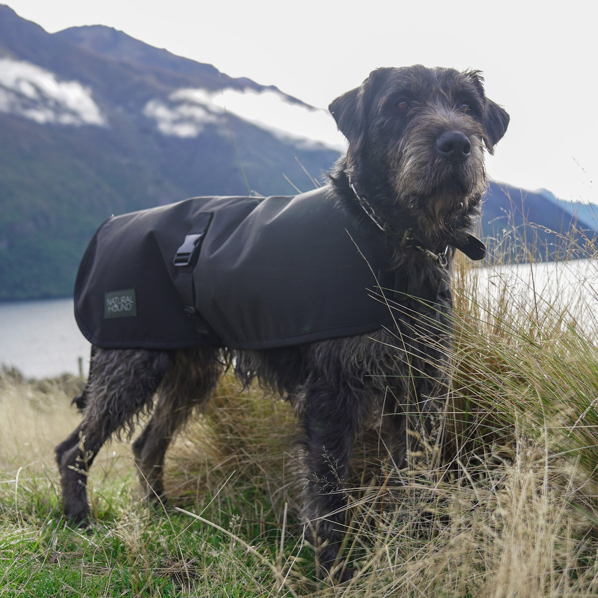 NZ Wool Dog Jacket