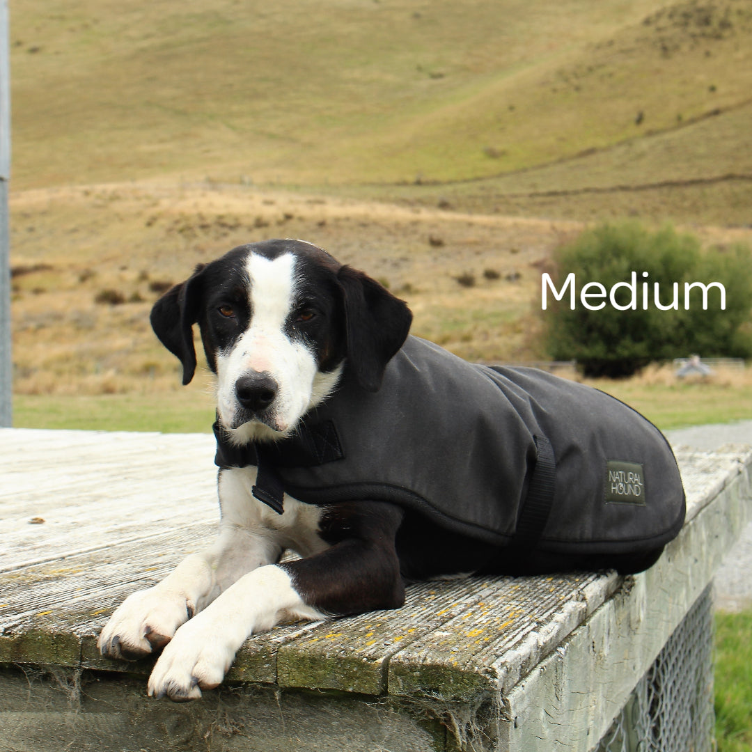 Waterproof Canvas Shell Dog Coat
