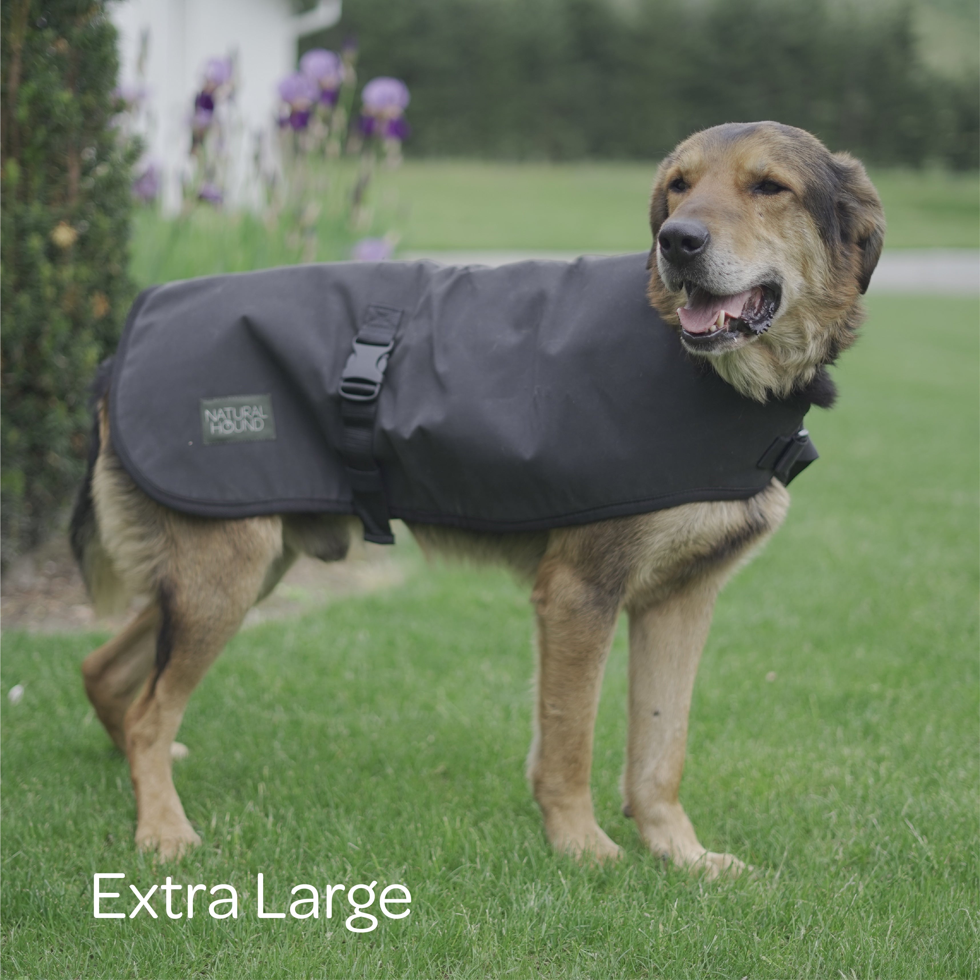 Waterproof Canvas Shell Dog Coat
