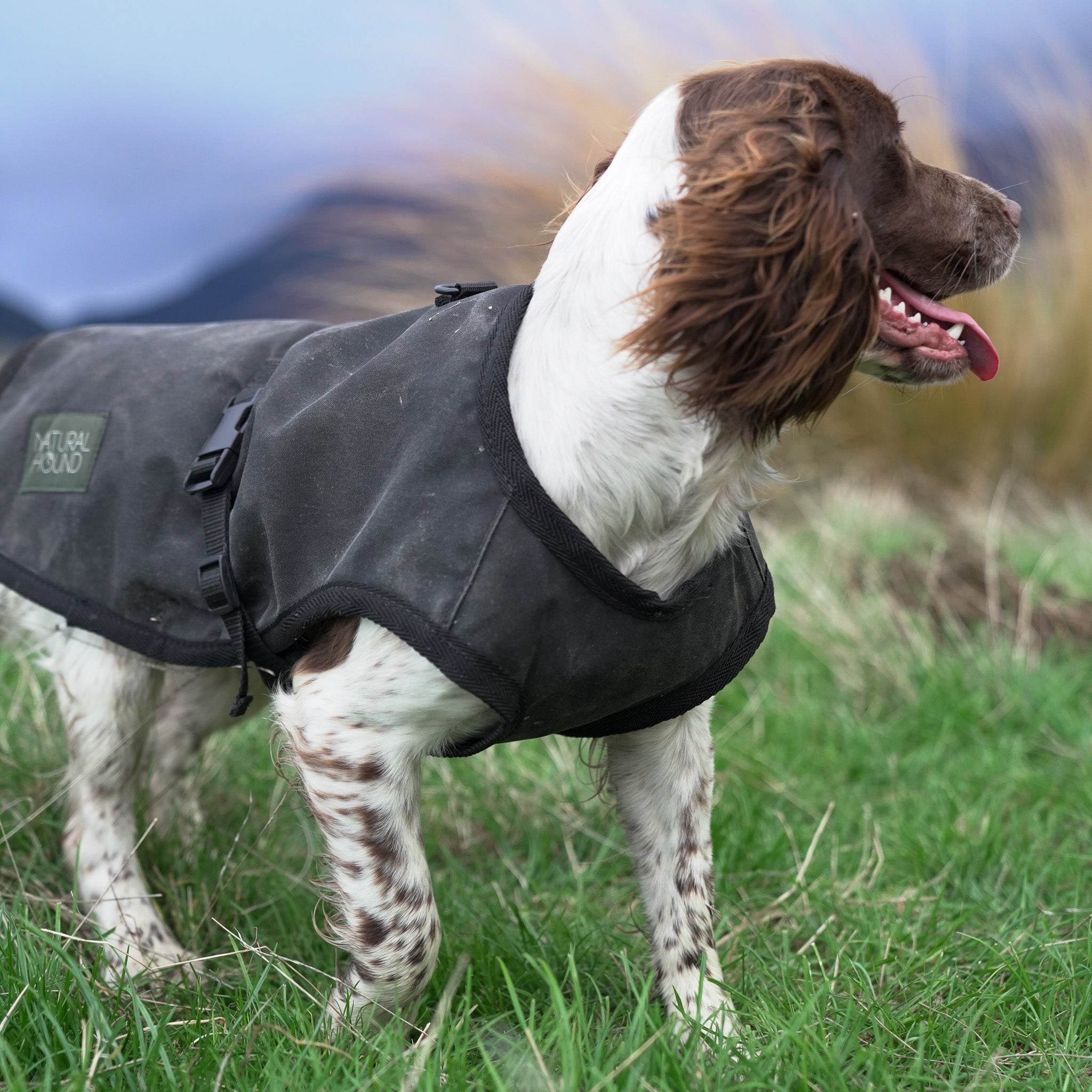 Woollen Venture Dog Jacket